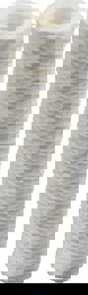 Plumbing Cartridge Filter: 2-1/2